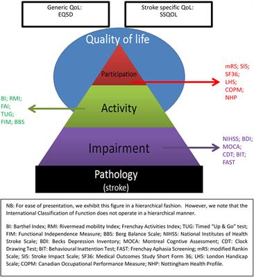 Functional Assessment for Acute Stroke Trials: Properties, Analysis, and Application